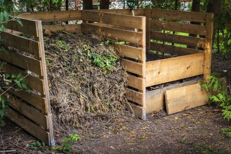 6 Compost Accelerators to Fire up Your Pile