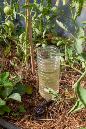 How To Water Your Garden Plants While You're Away