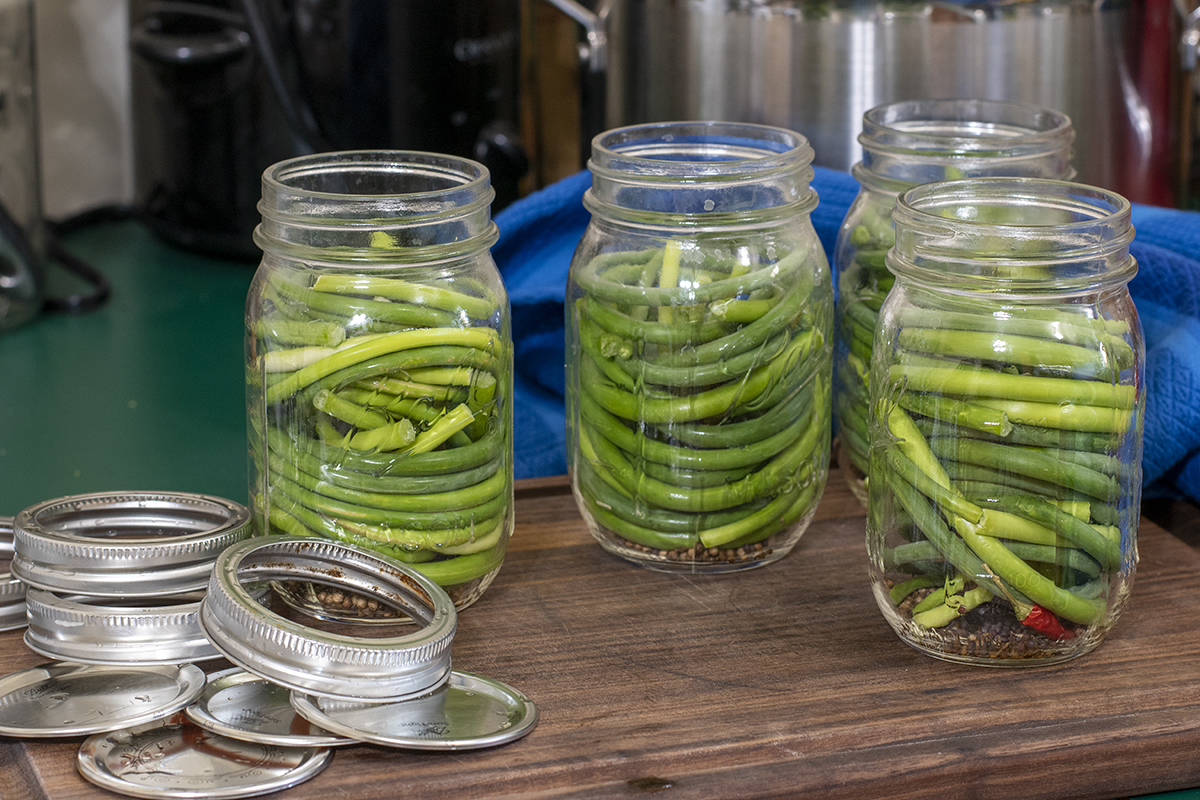 Pickled Garlic Scapes One Of The Easiest Pickles To Make