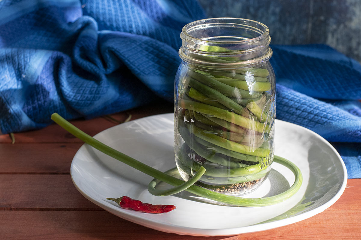 Pickled Garlic Scapes One of the Easiest Pickles to Make