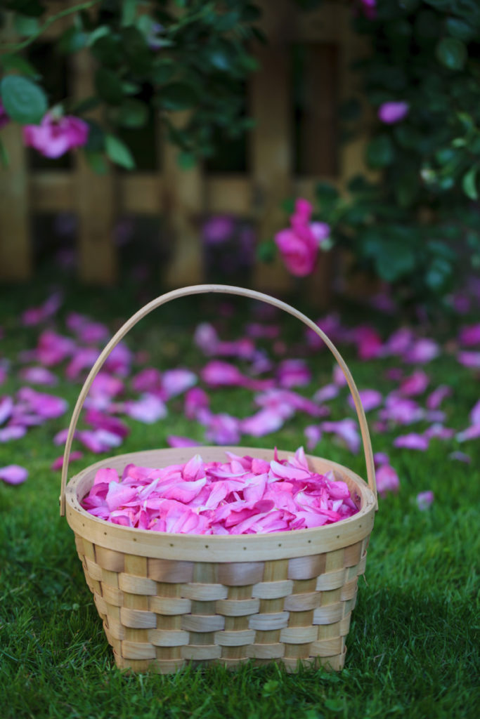 TooGet Fragrant Natural Pink Rose Buds Rose Petals India