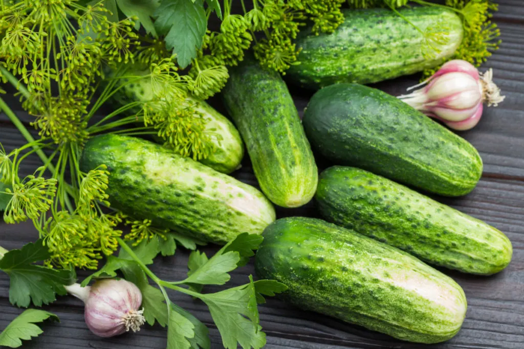 Fresh Garden Cucumbers - Order Online & Save