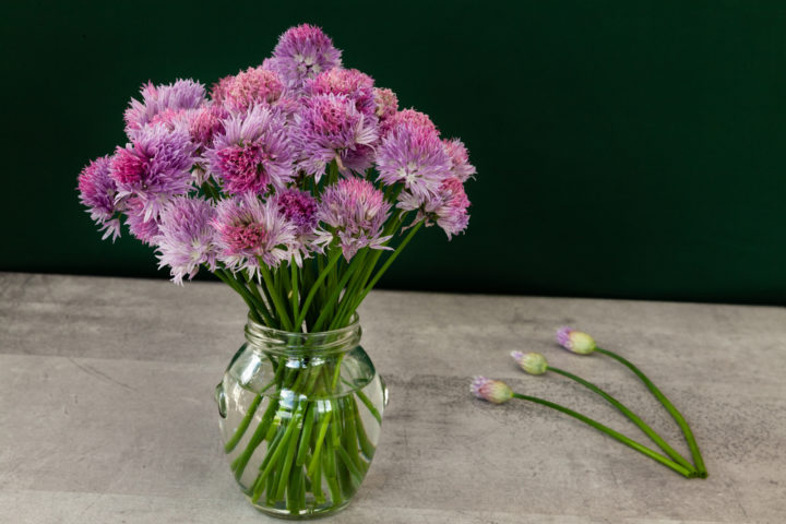 12 Genius Uses for Chives & Chive Blossoms