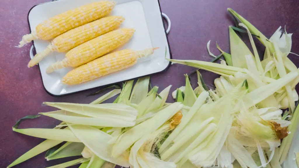 Why Farmers Want You To Stop Peeling Back Corn Husks