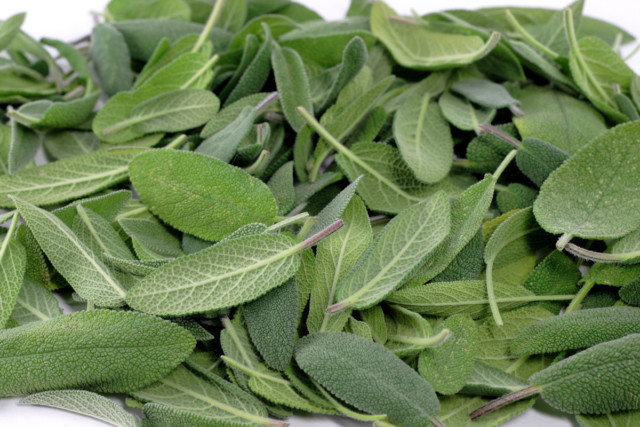 14 Innovative Ways To Use Sage Leaves   Sage Leaves Feature 640x427 