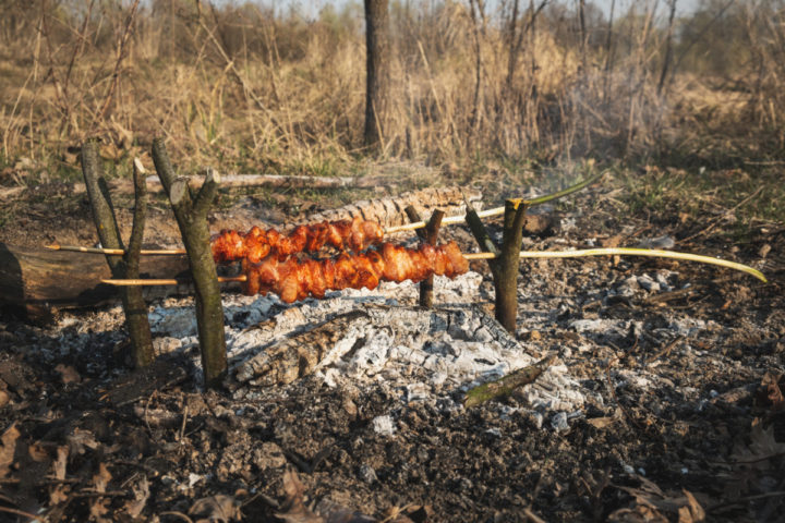 Campfire Cooking: 10 Foods to Cook On a Stick