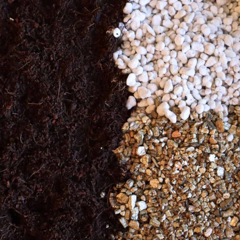 The Best DIY Seed Starting Mix (No Peat!)