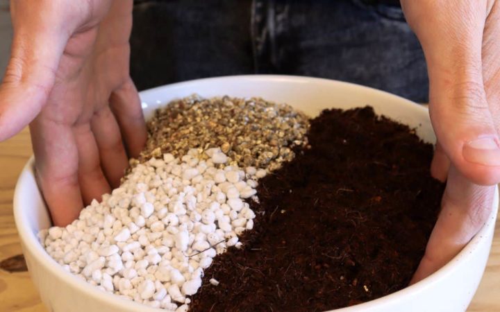 The Best DIY Seed Starting Mix (No Peat!)