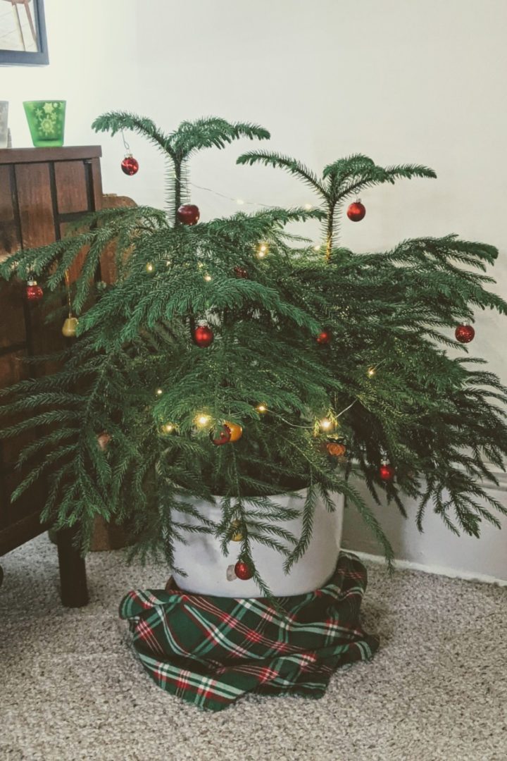 30 Alternative Christmas Tree Ideas To Try This Year