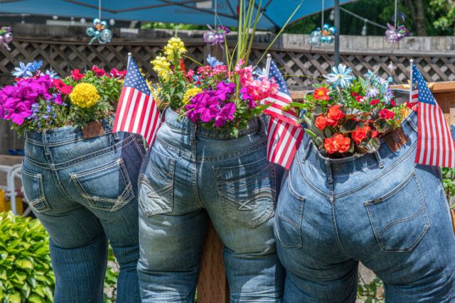 10 Handy Ways To Reuse Old Clothes in Your Garden