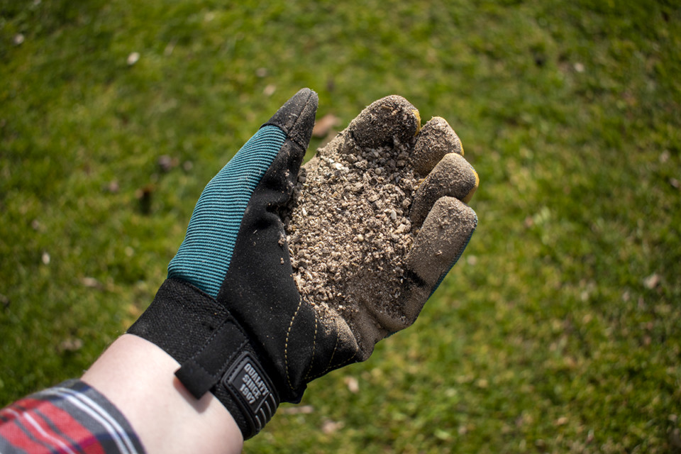 How & When To Fertilize Blueberry Bushes For Buckets Of Berries