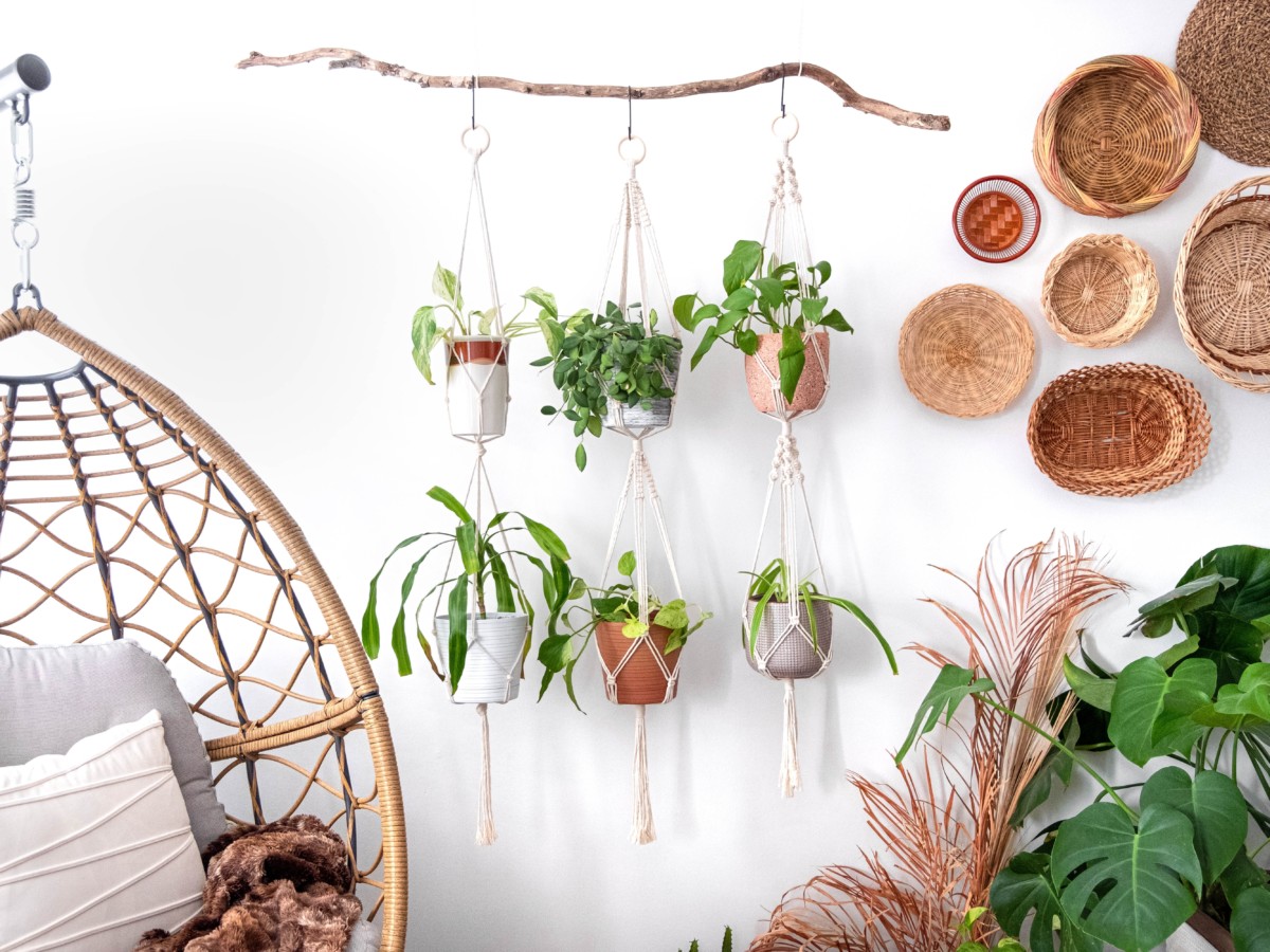 The 17 Best Indoor Hanging Plants to Capitalize on Vertical Space