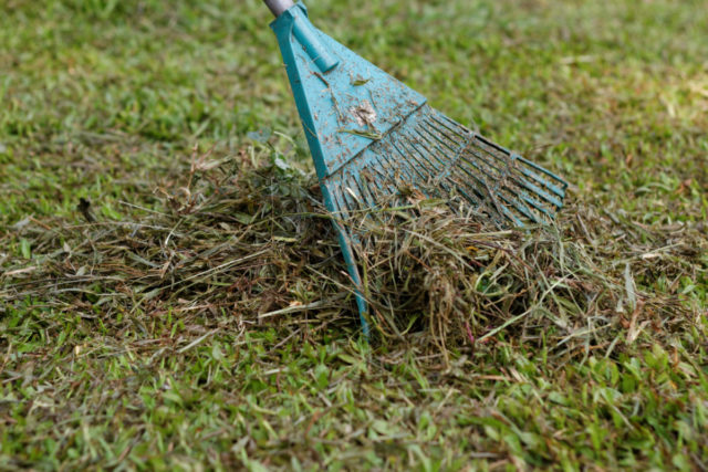 Compost 101: Everything You Need to Know to Start a Compost Pile