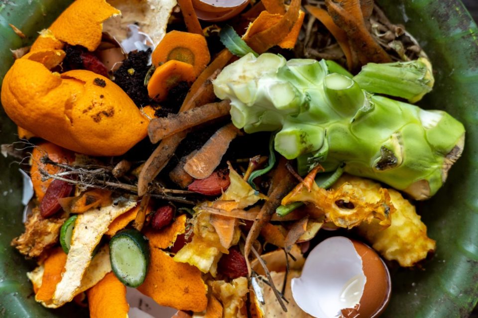 Compost 101: Everything You Need to Know to Start a Compost Pile