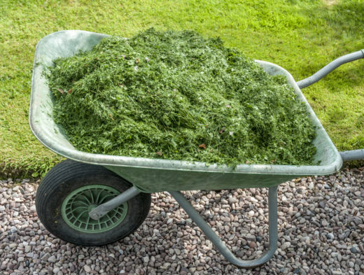 15 Brilliant And Unusual Ways To Use Grass Clippings