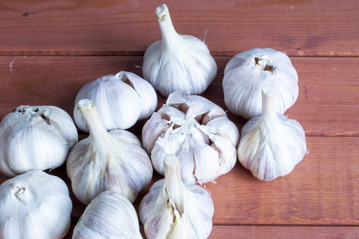 21 Recipes That Use An Entire Bulb Of Garlic   Whole Garlic Hero 735x490 