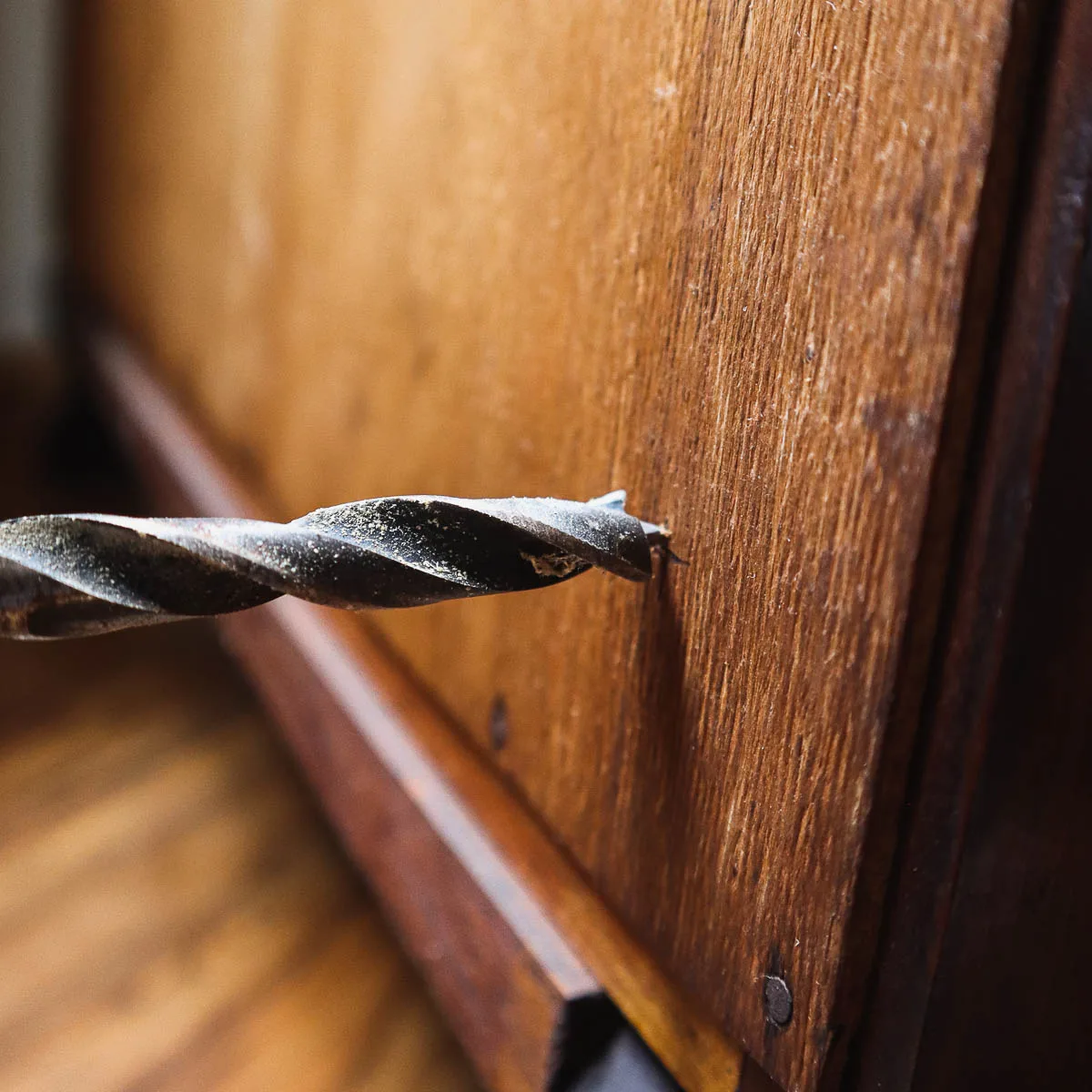 Drill bit against the wood, about to begin drilling.