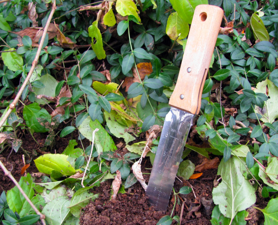 6 Reasons Every Gardener Needs a Hori Hori Knife