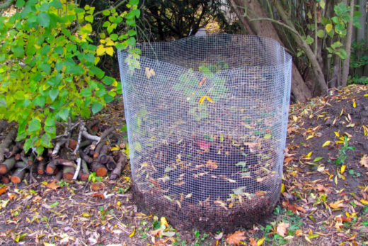 How to Harvest Leaf Mold & 4 Ways to Use It