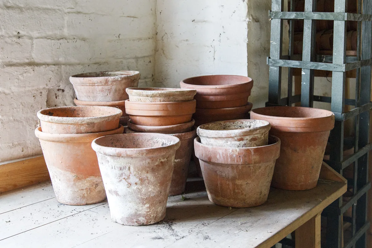Growing terracotta pot Cut Out Stock Images & Pictures - Page 2