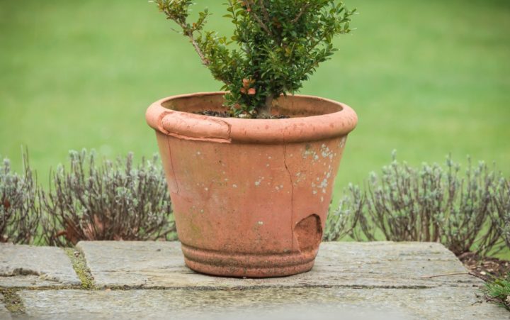 10 Brilliant & Practical Ways to Reuse Broken Terracotta Pots