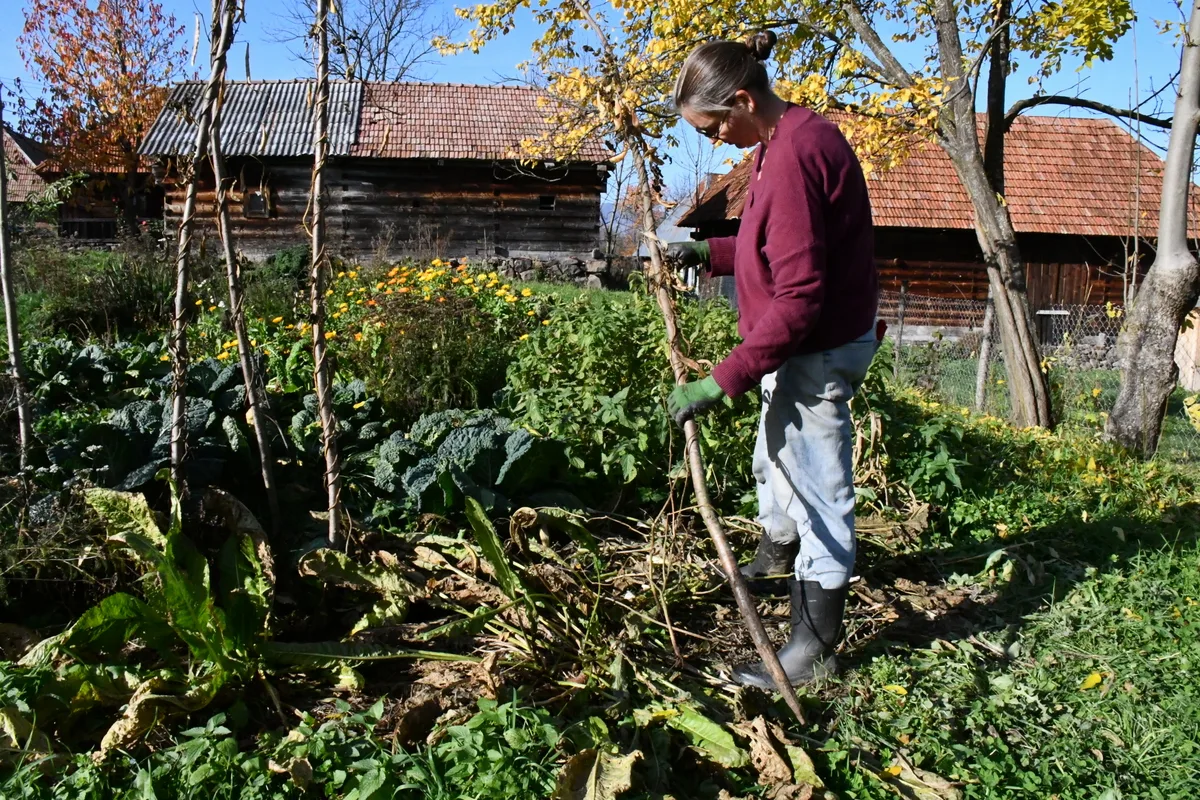 11 Steps To Winterize Your No-Dig Garden