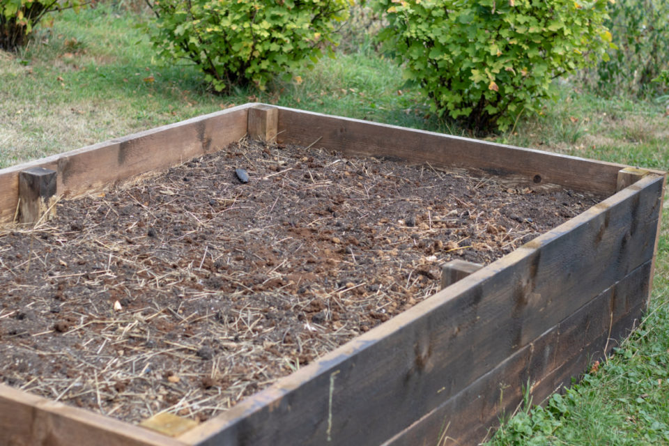 7 Ways to Rejuvenate & Replenish Raised Beds