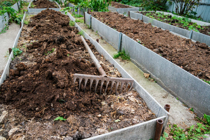 how-to-use-manure-in-raised-bed