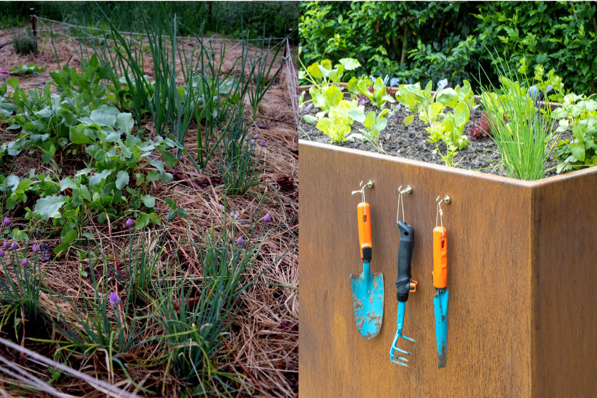 How to Go No-Dig In Raised Beds & Improve Your Soil