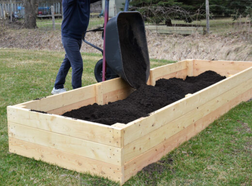 How To Start Raised Beds On Concrete, Patio Or Pavement