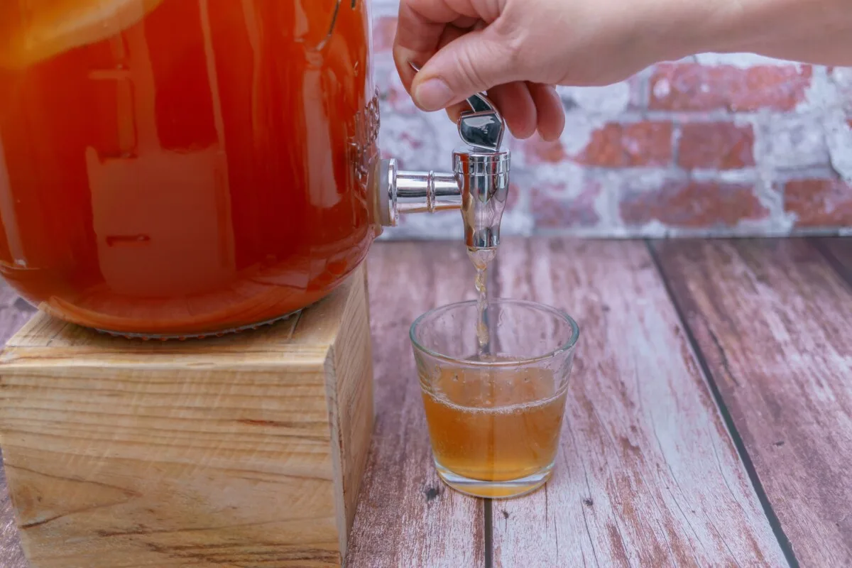 Kombucha jar with spigot and hand opening spigot to pour kombucha into a glass. 