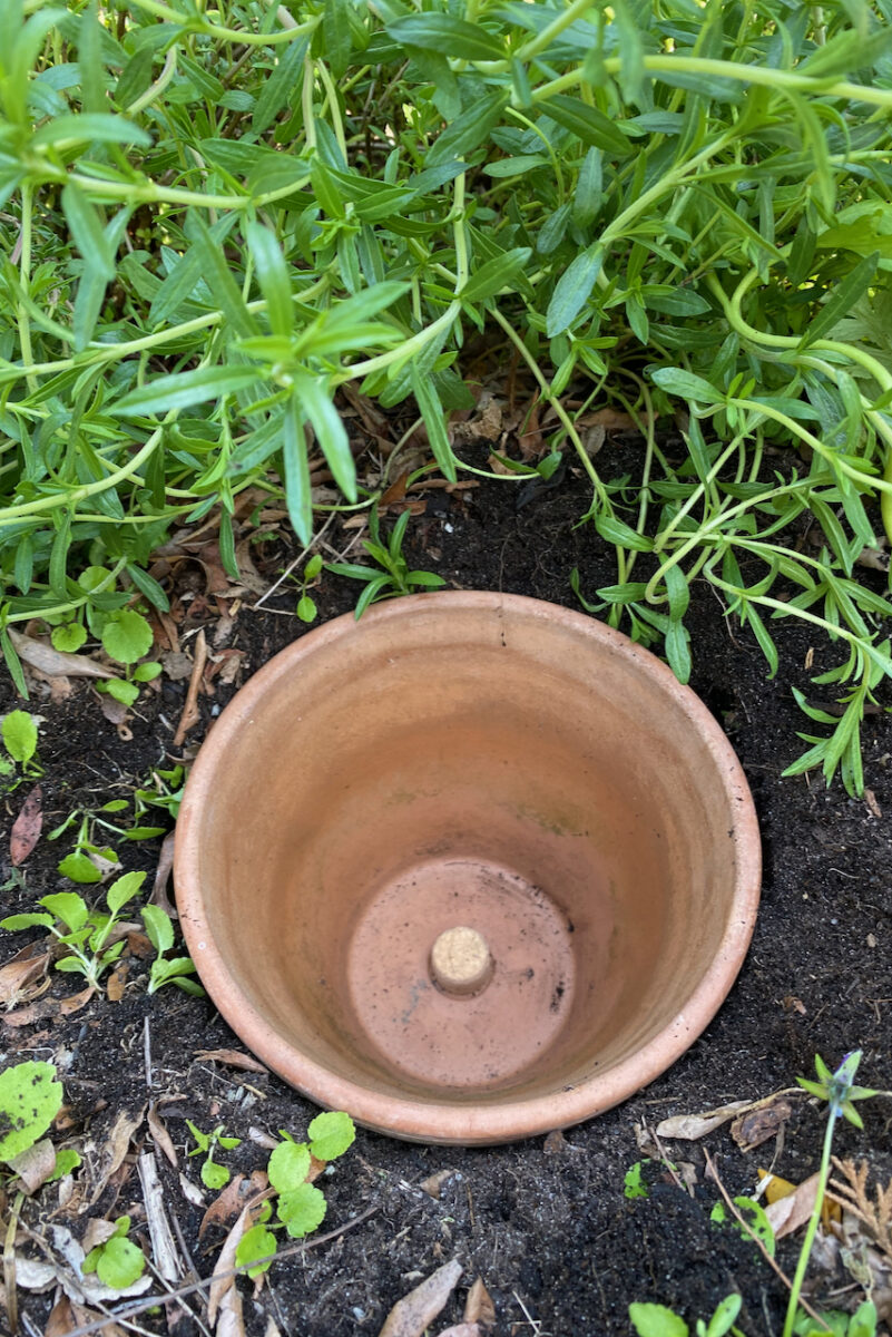 Article: Ollas - Clay Pot Irrigation Systems Plus DIY Homemade Ollas
