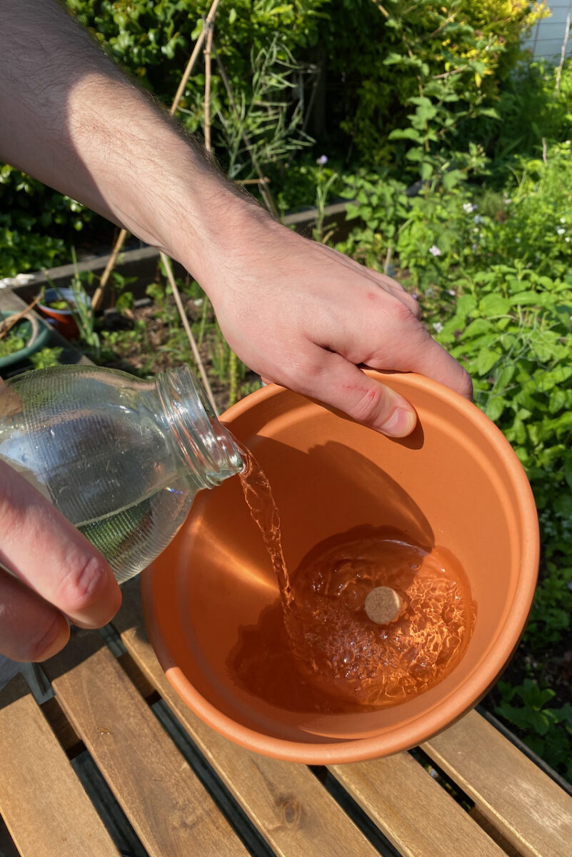 Olla Watering System 