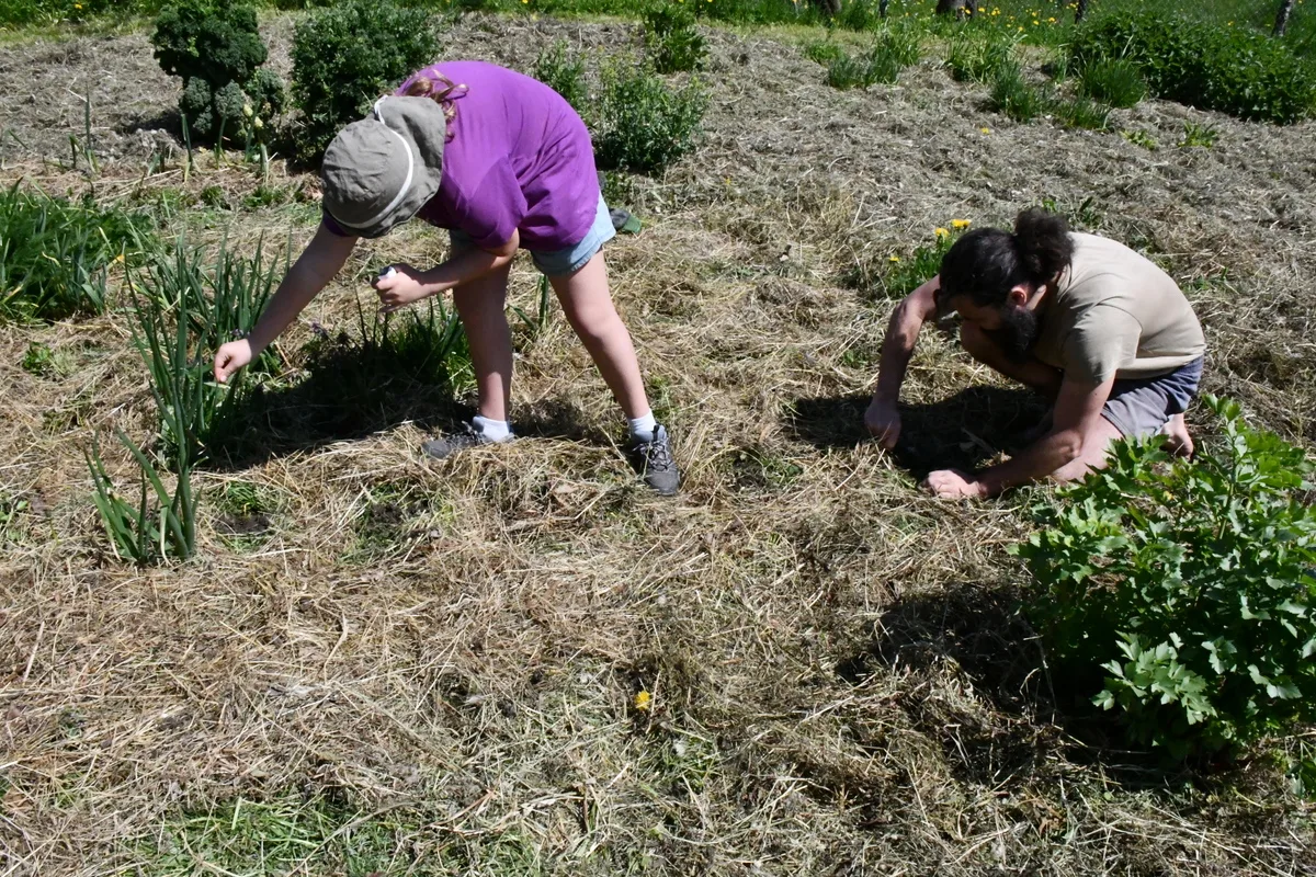 Dig Deeper Into Your Garden