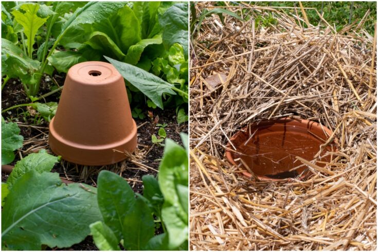 6 Brilliant Alternative Uses For Terracotta Pots Around The Garden   Terracotta Pot Uses 735x490 