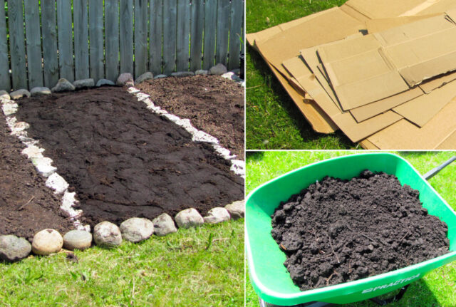 How to Start a New Vegetable Garden on Lawn - No Digging Required