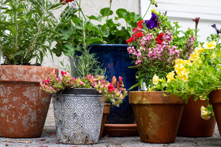 The Best Way To Age Terracotta Pots (& What Doesn't Work)