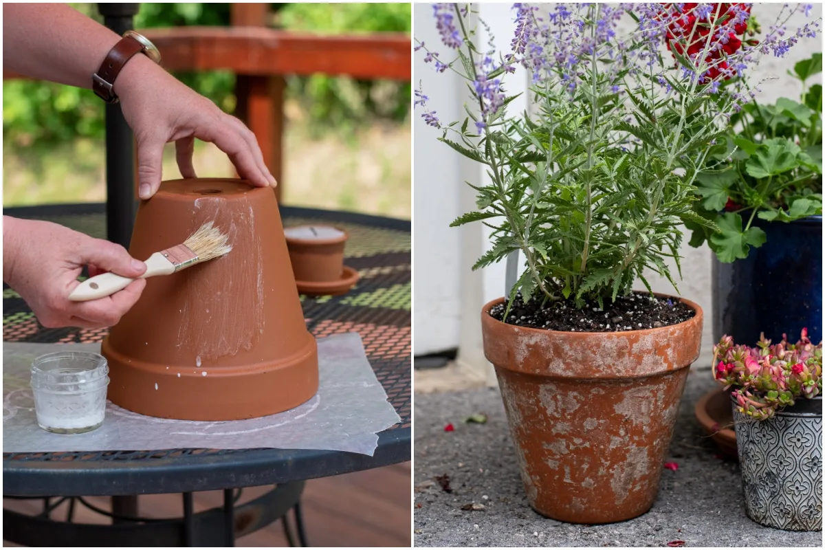How to Soak a Terracotta Pot Before Planting