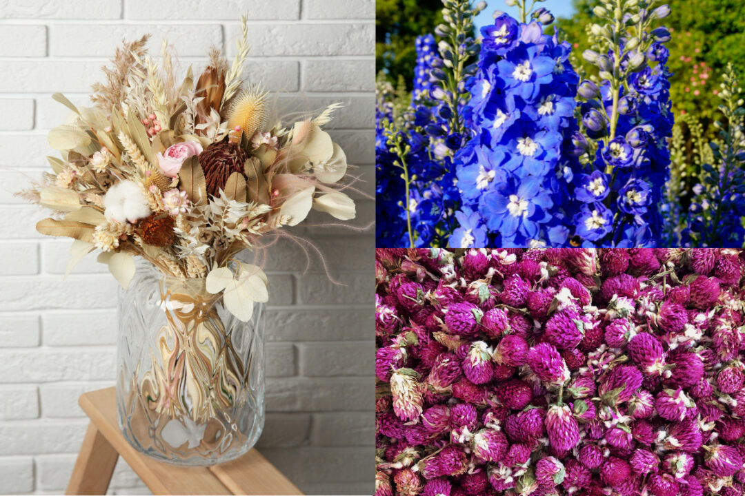 18 Flowers to Grow for Dried Flower Arrangements