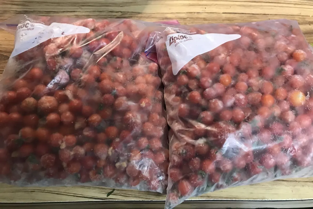 bags of frozen Everglades tomatoes