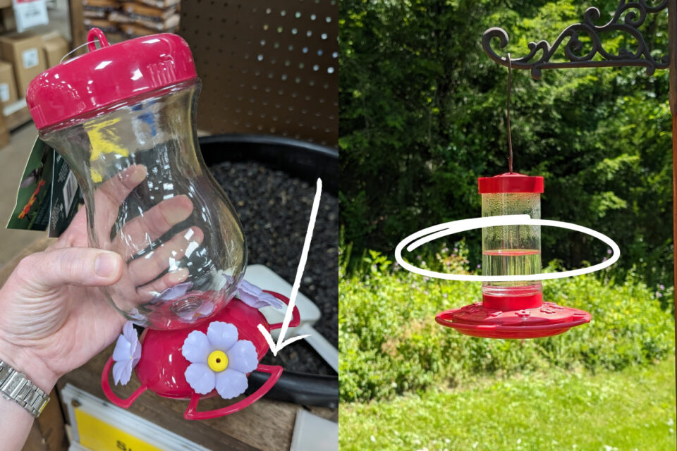 9 Things That Stop Hummingbirds from Using Your Feeder