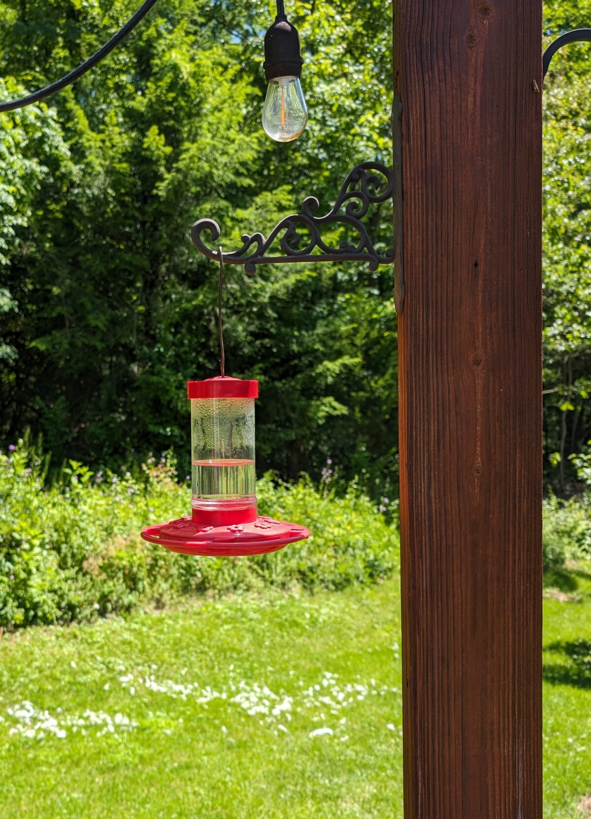 hummingbird feeder one third full