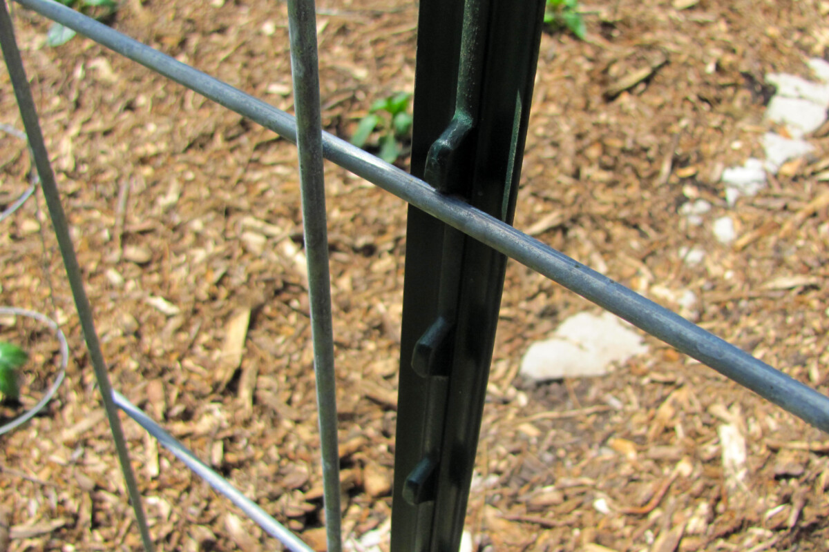 Stake with notches for fencing