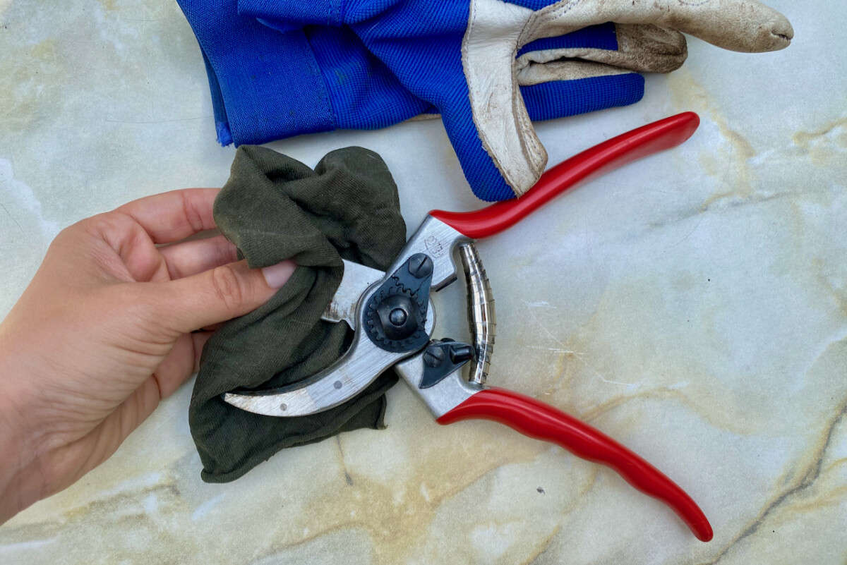 Hand cleaning pruners