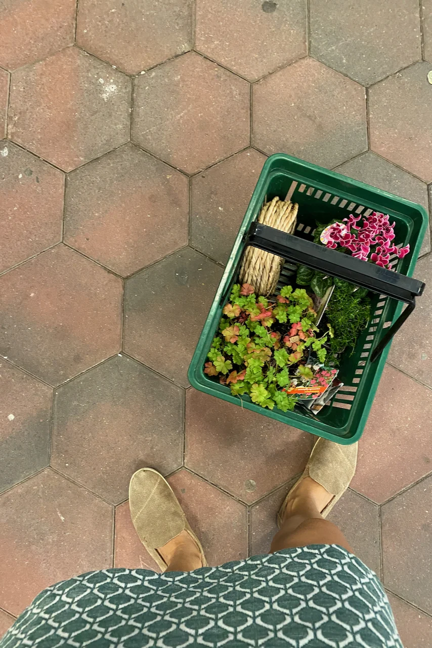 Shopping basket at woman's feet