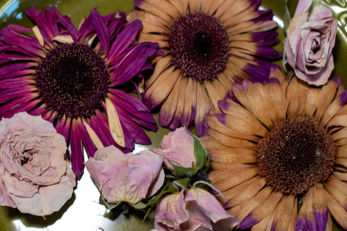 Dried flowers on a plate