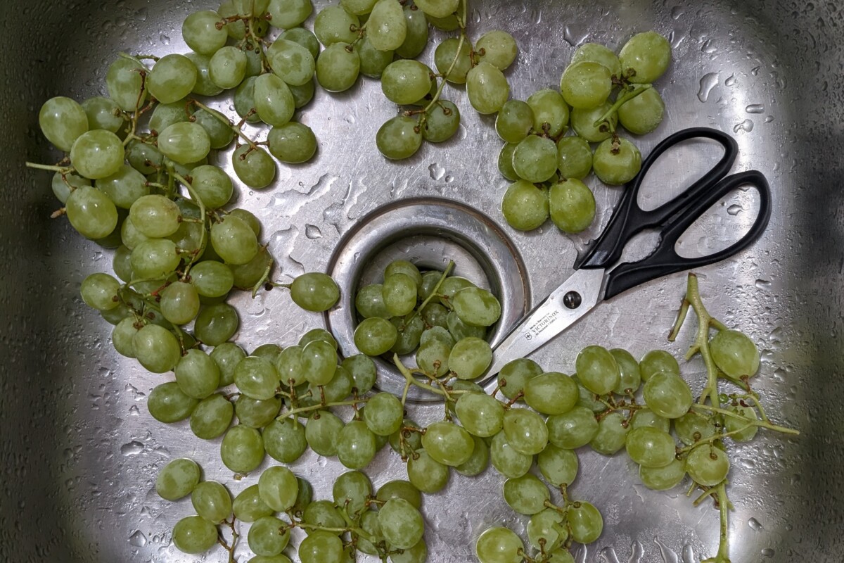 Cut up grapes