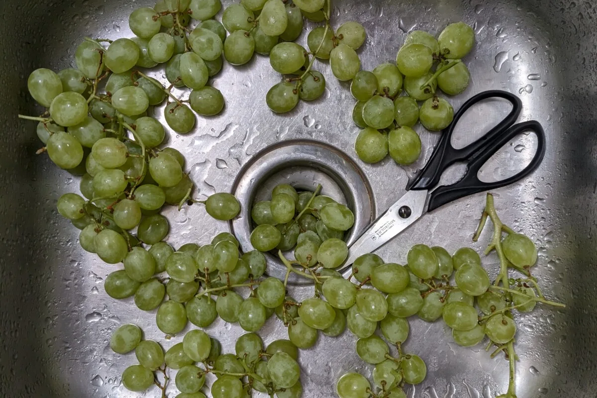 Cut up grapes