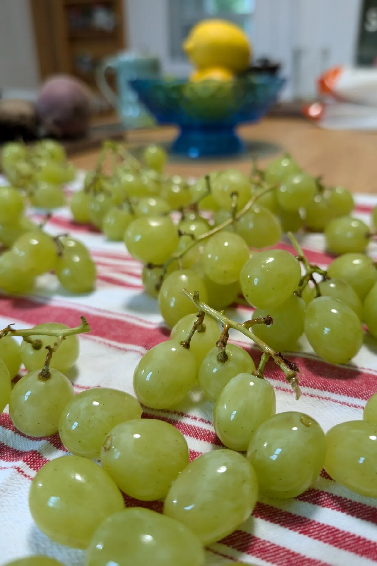 Grapes drying on a hand towel