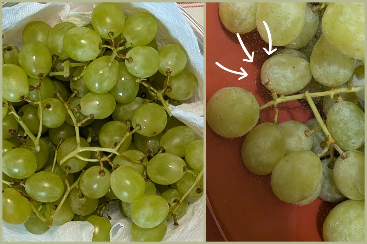 Collage of grapes in a bowl and grapes under water with arrows